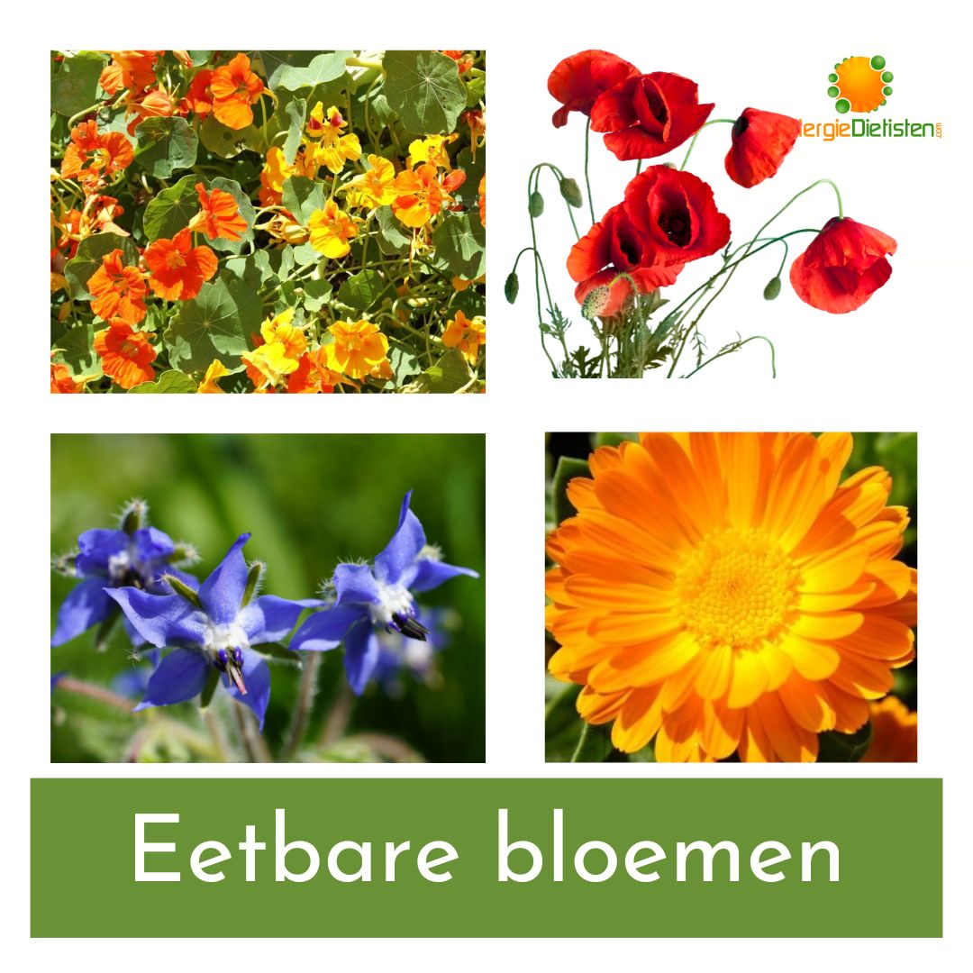 Bloemen op je bord